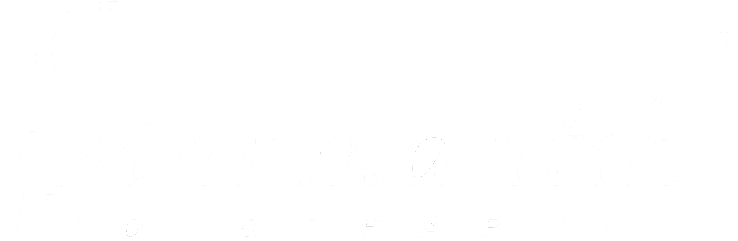 Sinvmantik Logo